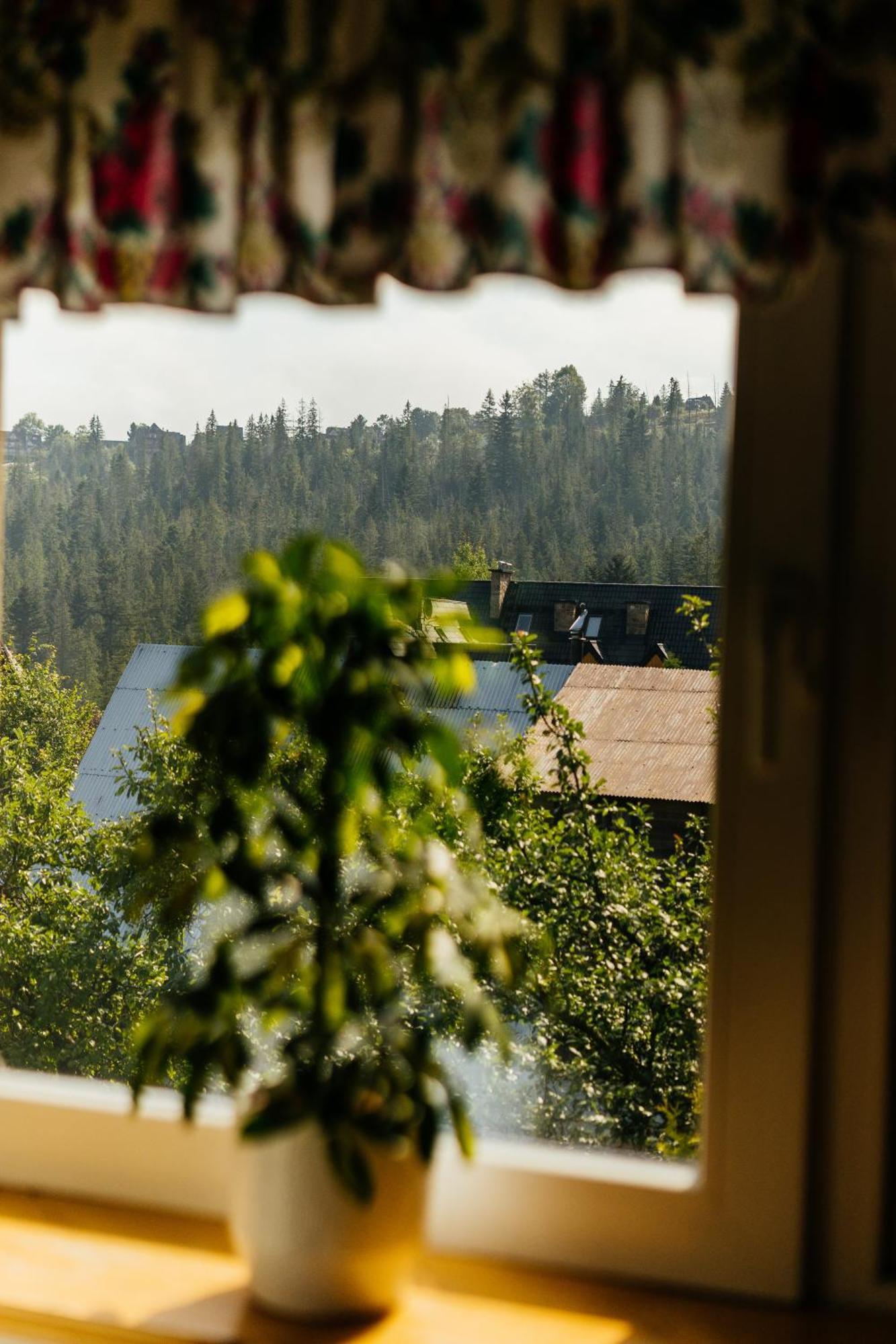 Willa Marta M Sauna Jacuzzi Zakopane Exteriér fotografie
